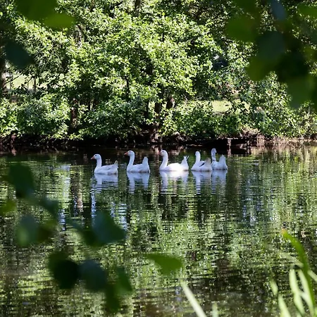 Casa de hóspedes La Foutelaie